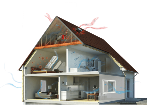 Ventilation and Indoor Air Quality